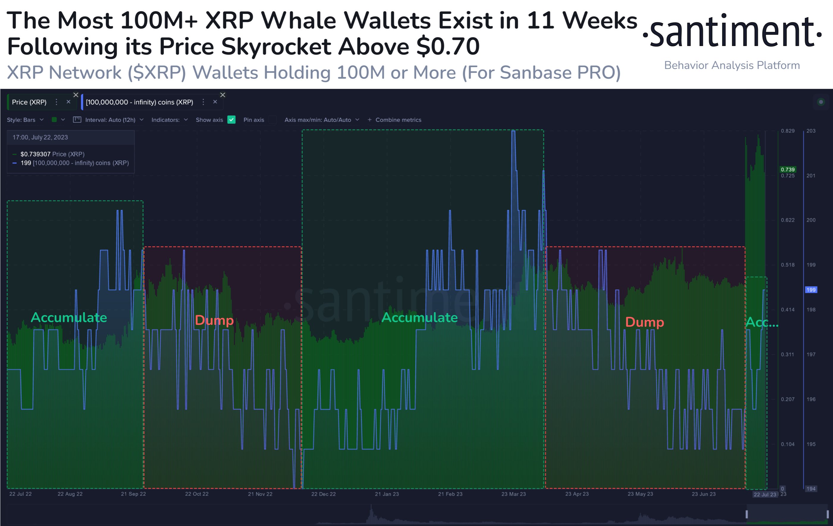 XRP whale wallets holding 100 million+ tokens