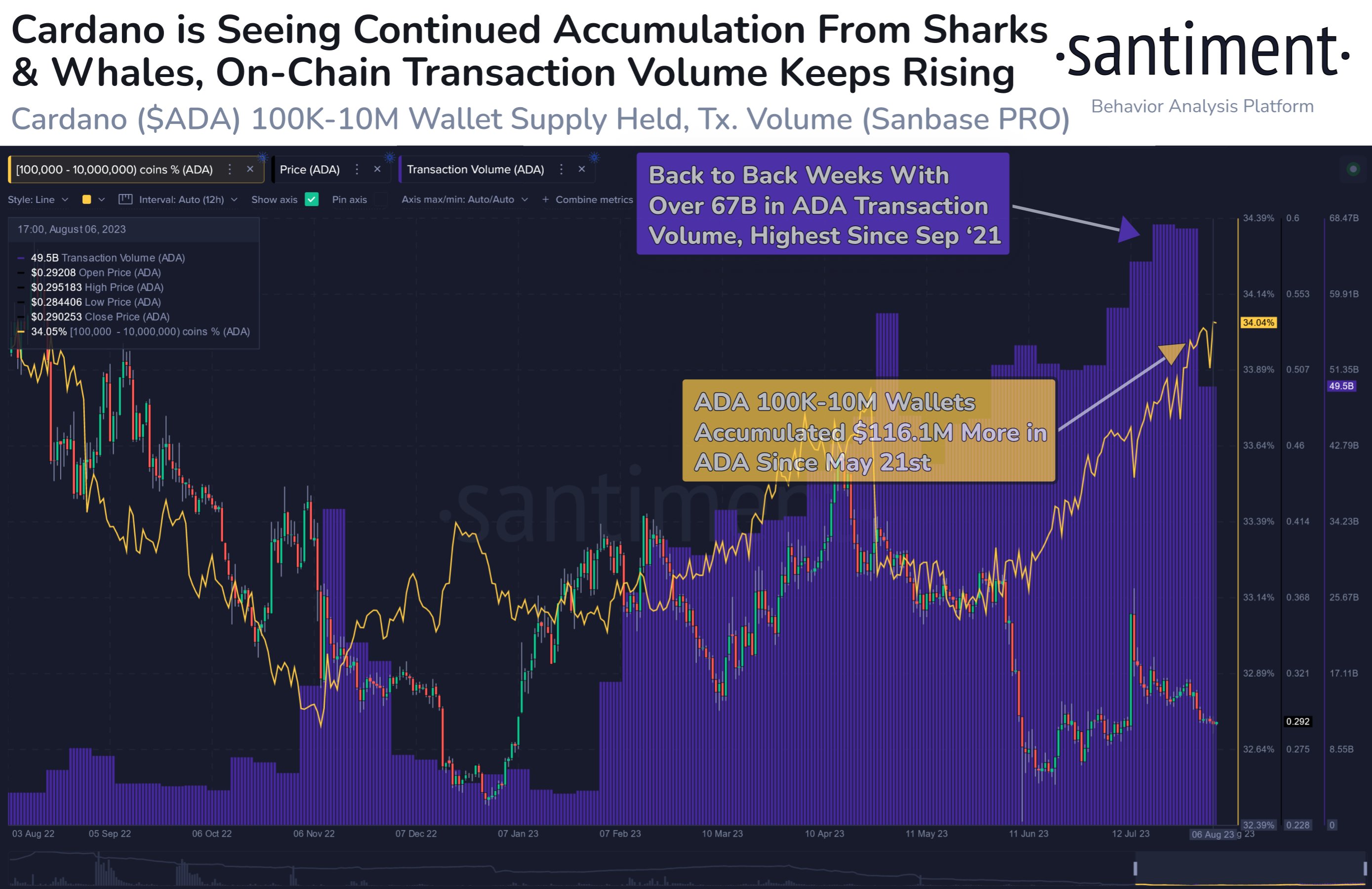 Cardano accumulation by large wallet investors