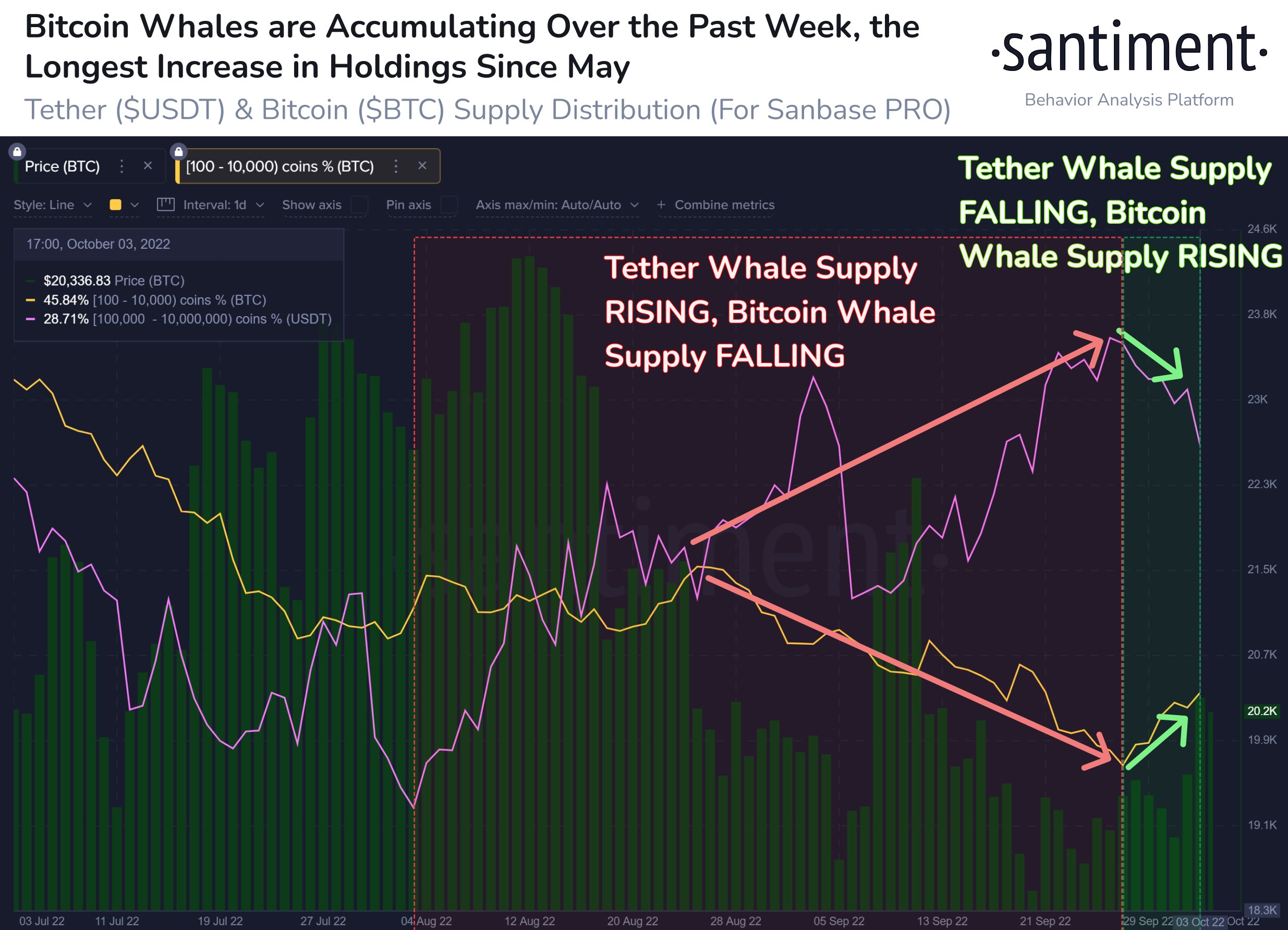 Bitcoin whale accumulation