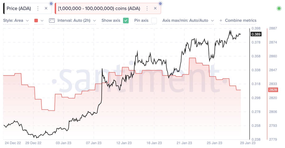 Grands portefeuilles d'investisseurs de Cardano