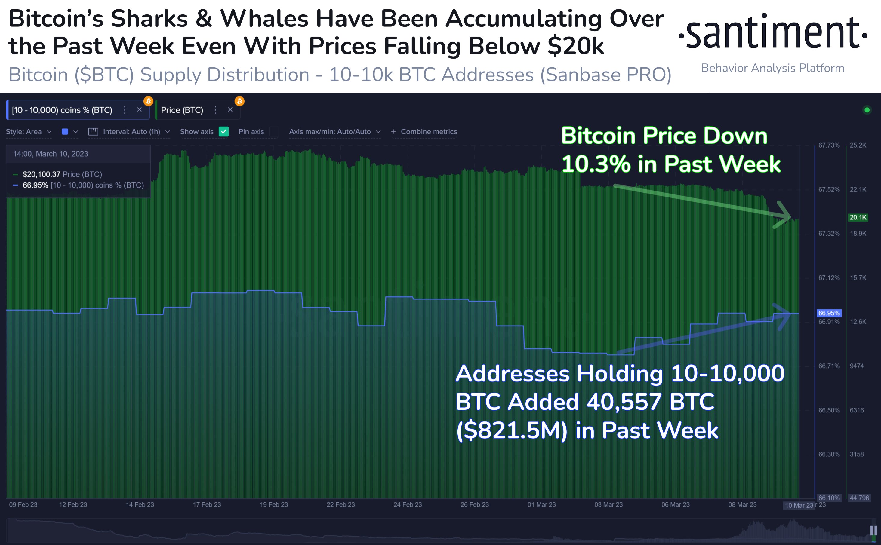 鲨鱼和鲸鱼的比特币增持能否催化 BTC 价格回升？