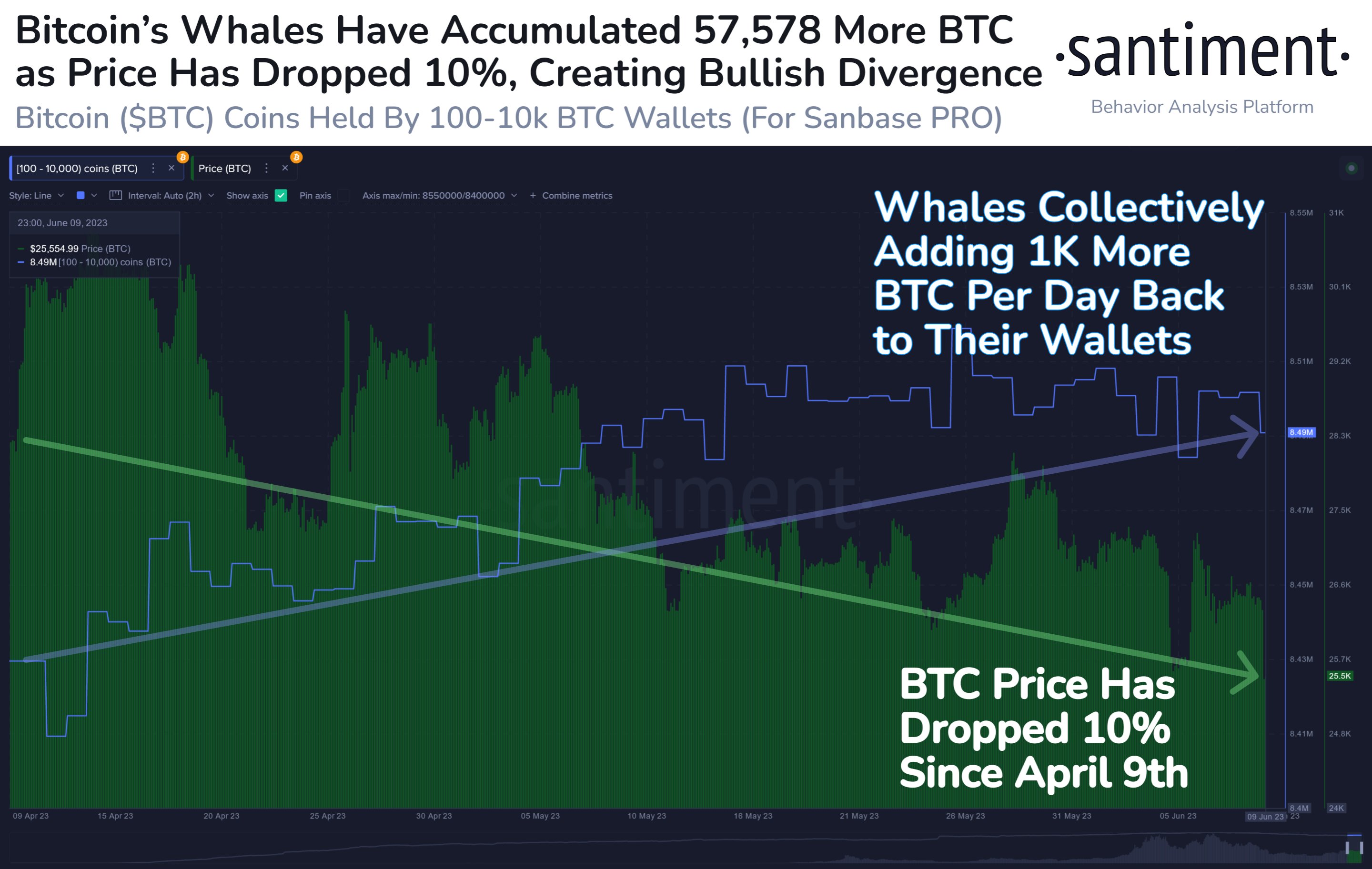 Bitcoin whale accumulation