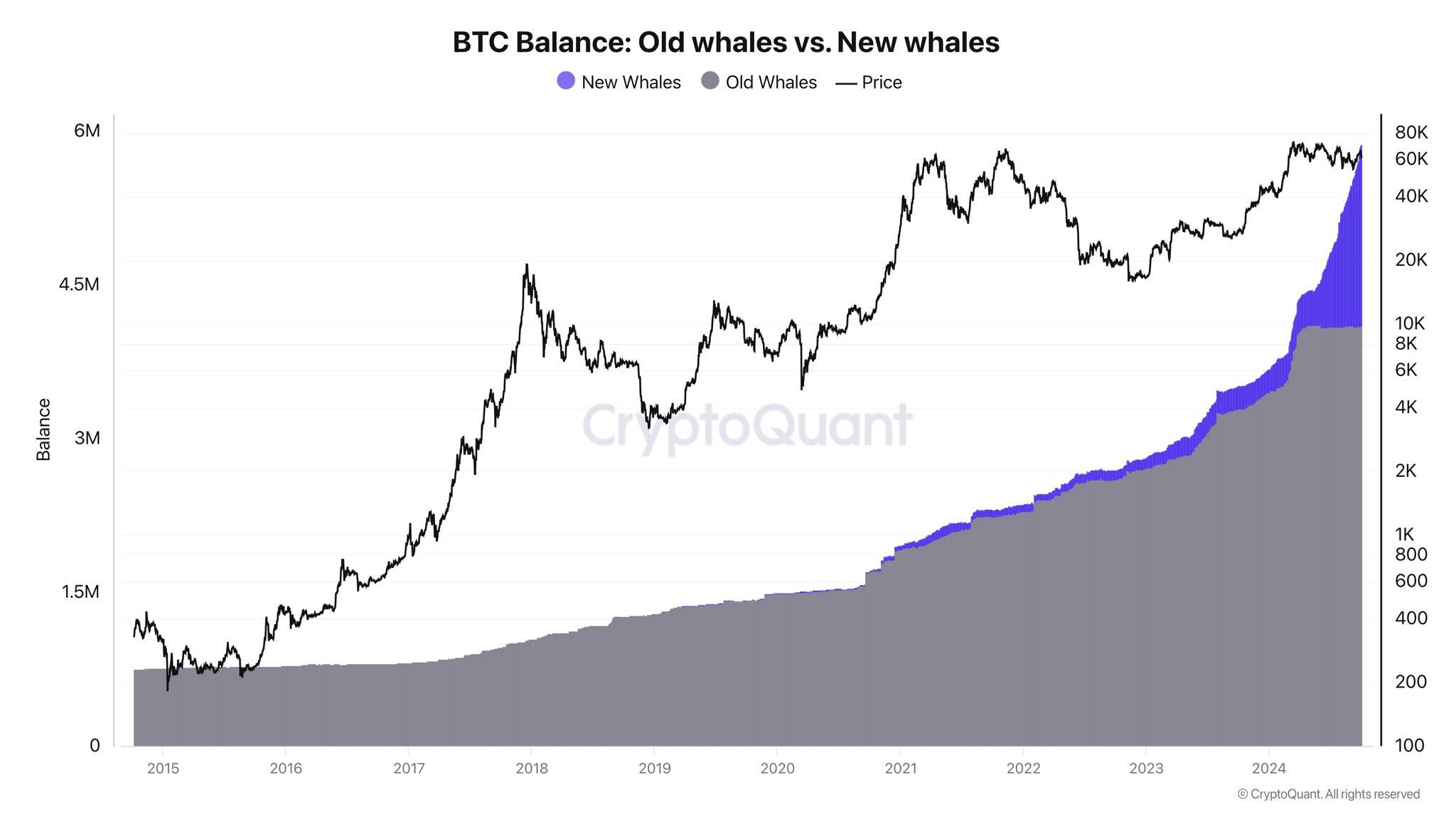 Gráfico de saldo BTC