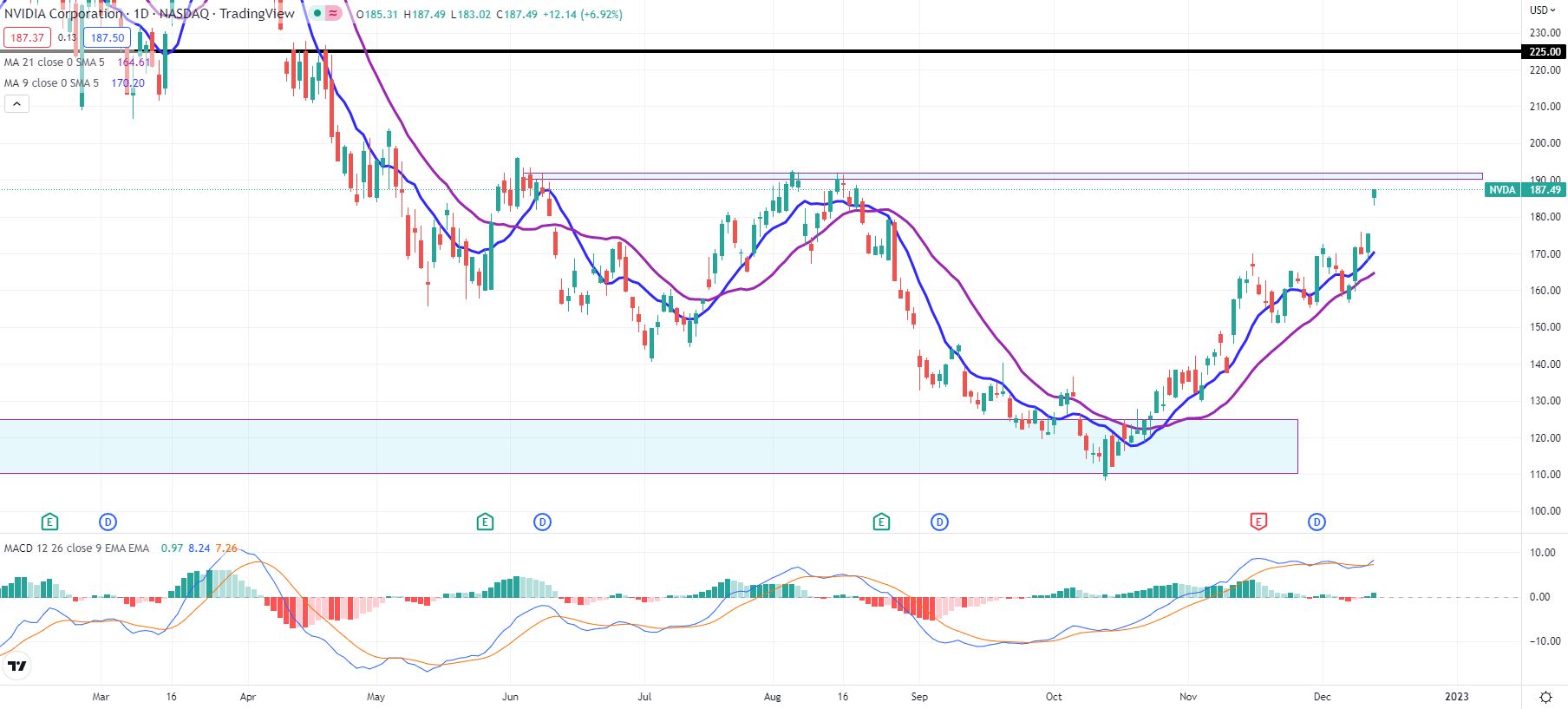 NVDA stock daily chart