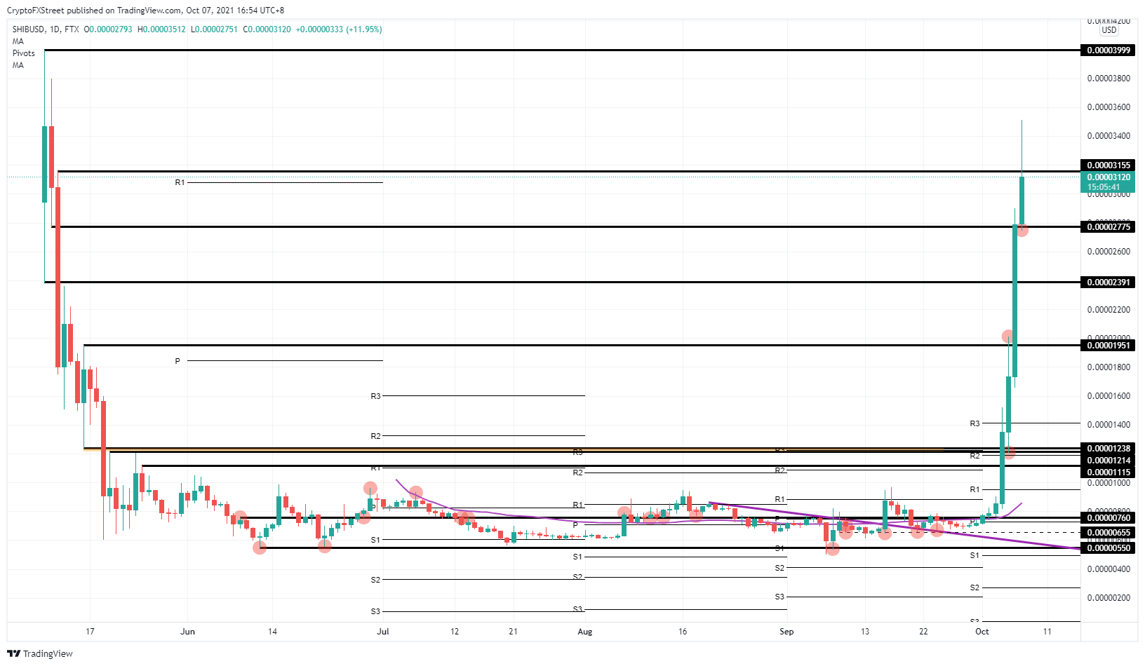 SHIB/USD daily chart