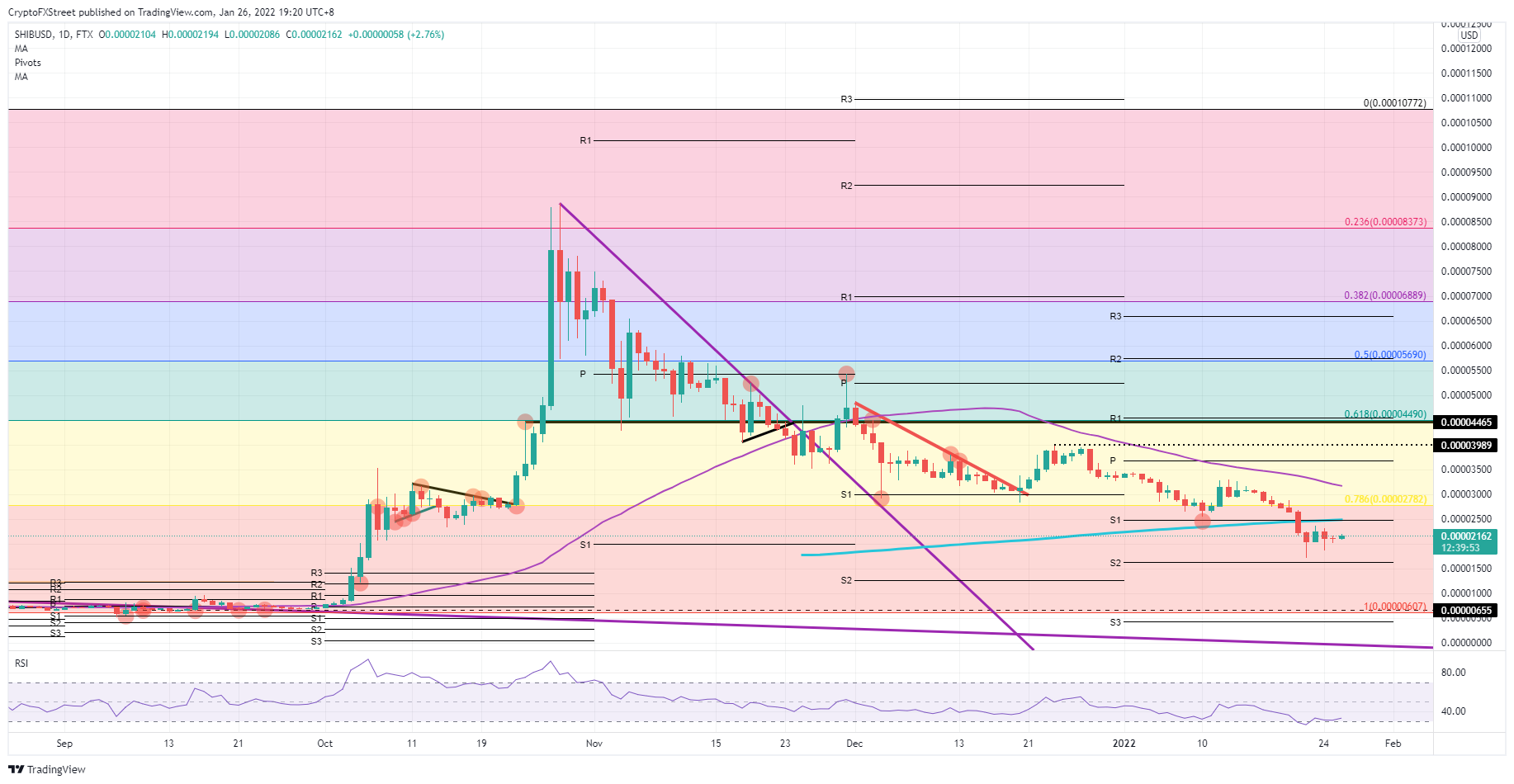 SHIB/USD daily chart