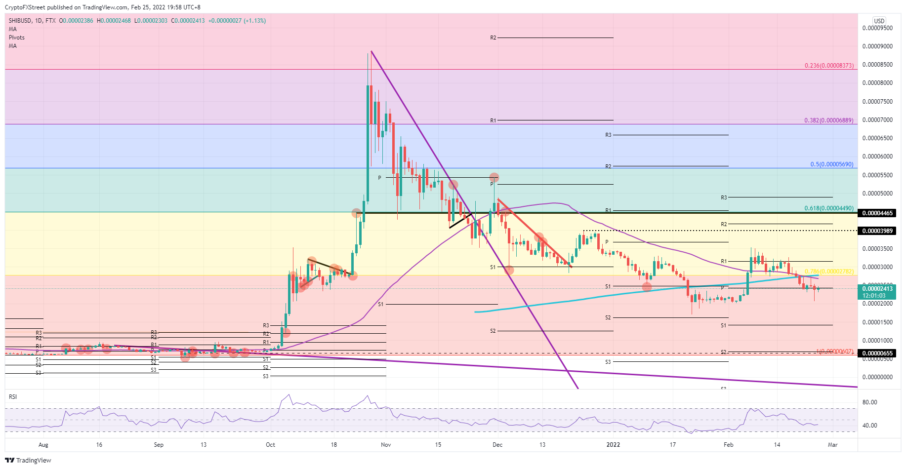 SHIB/USD daily chart