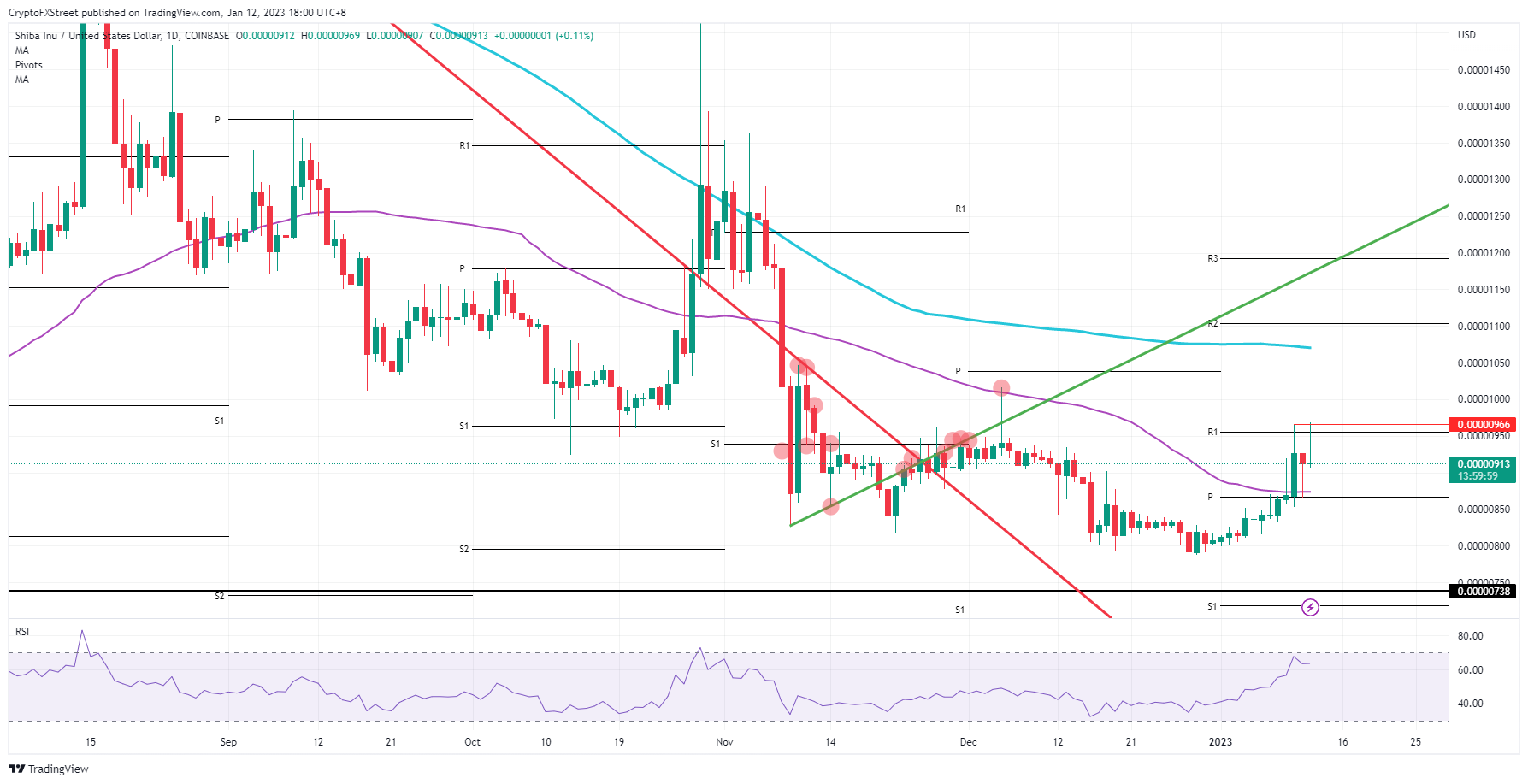  SHIB/USD daily chart