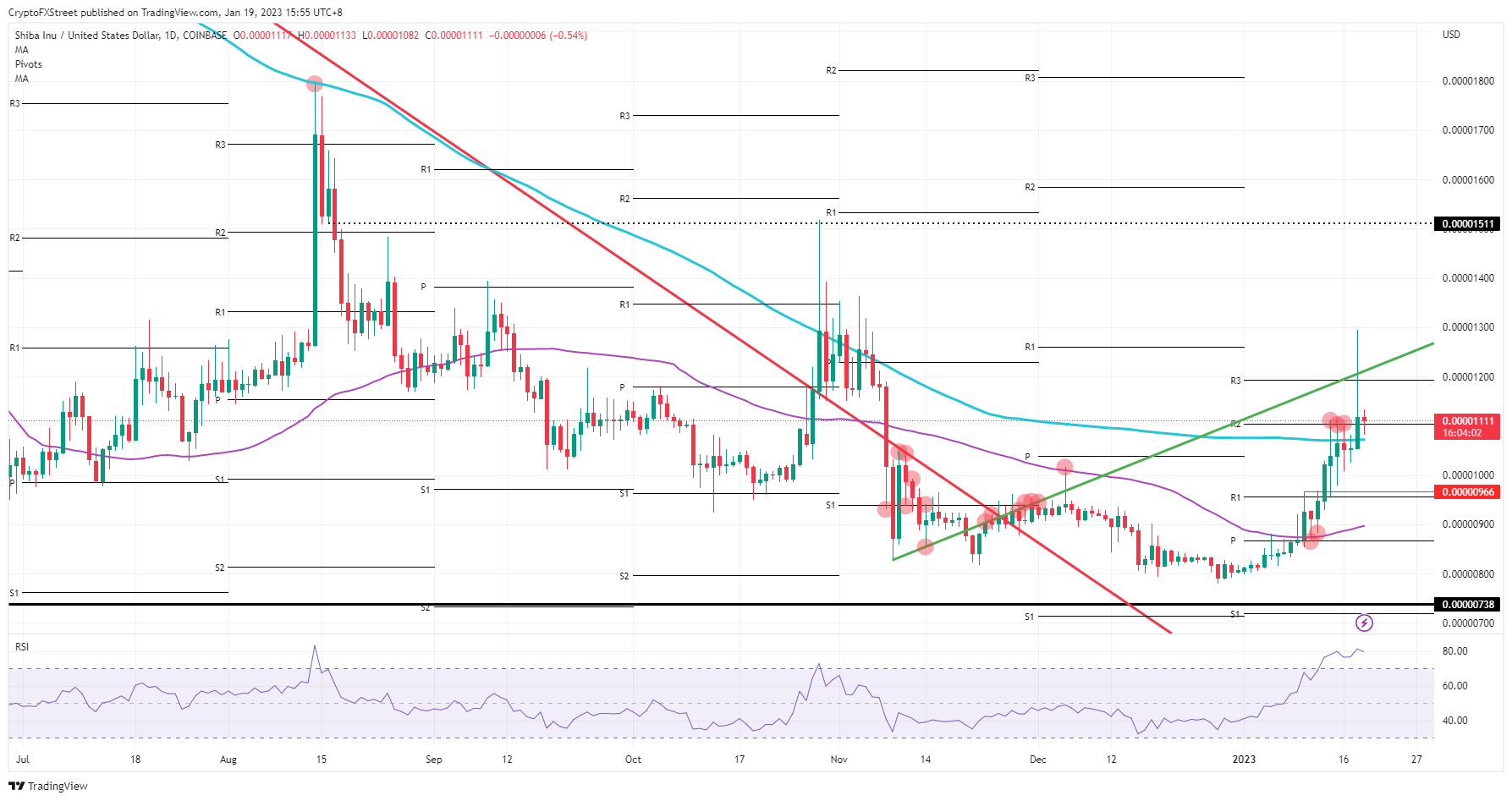 SHIB/USD daily chart