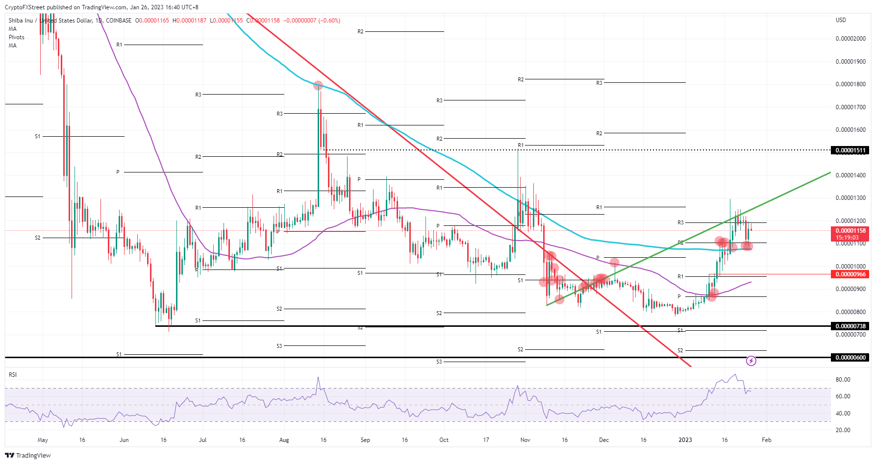 SHIB/USD daily chart