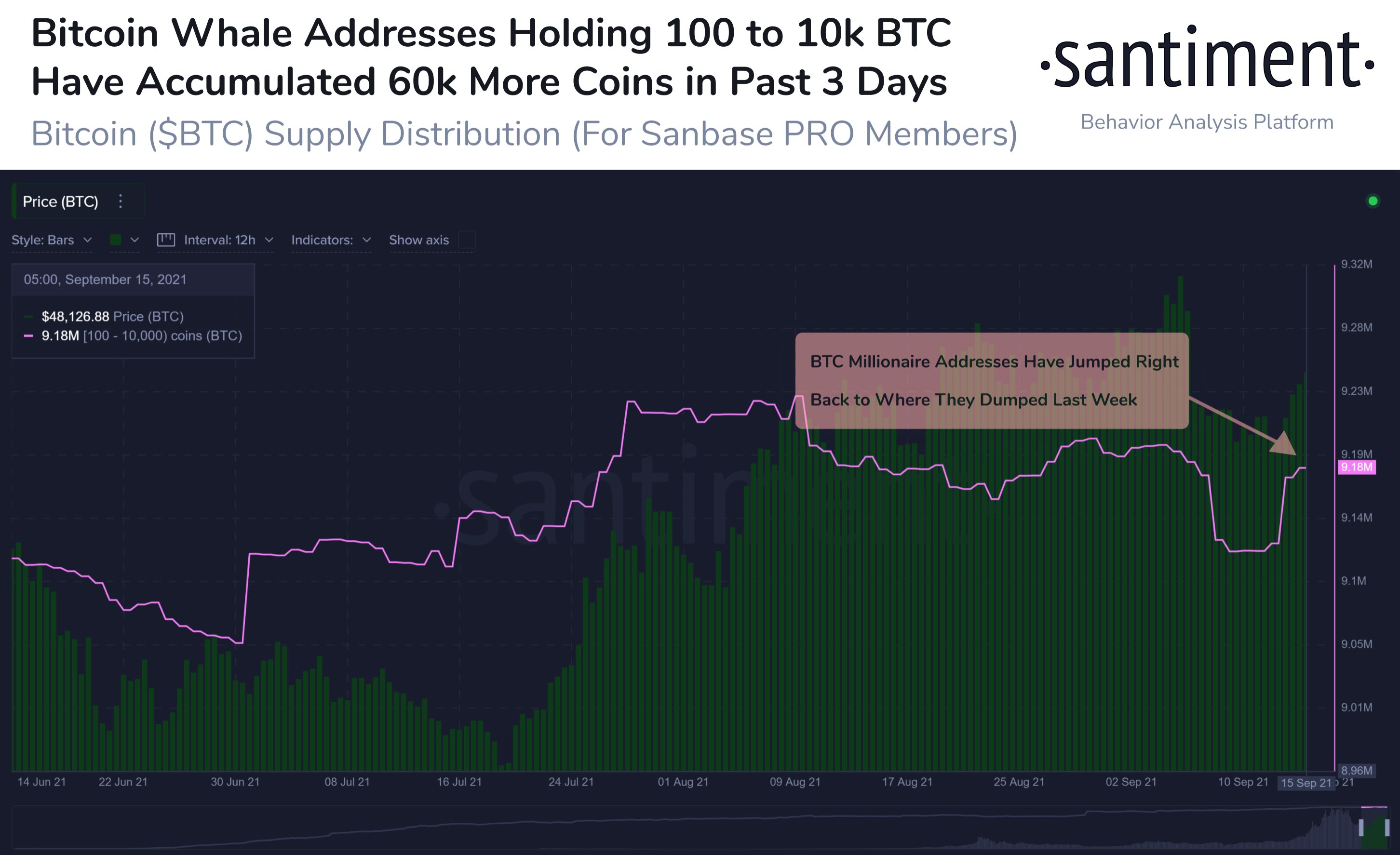 Bitcoin accumulation by large wallet investors