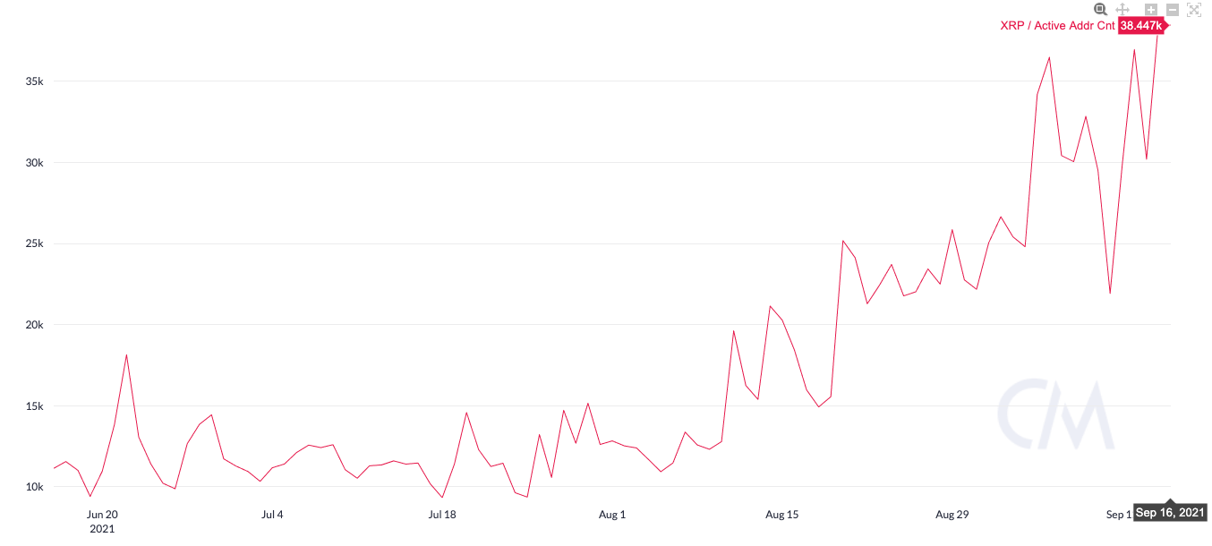 XRP active wallet addresses over the past three months