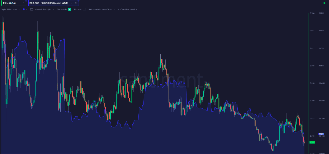 Large wallet investors holding Cardano