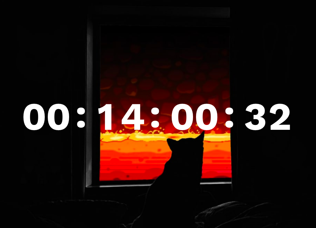 Shiba Inu special countdown
