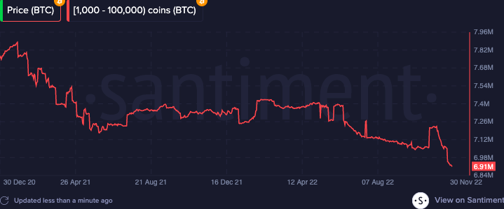 Bitcoin whale activity of investors