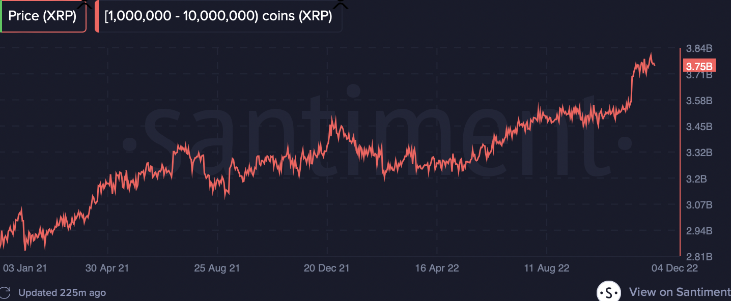 XRP whale holdings