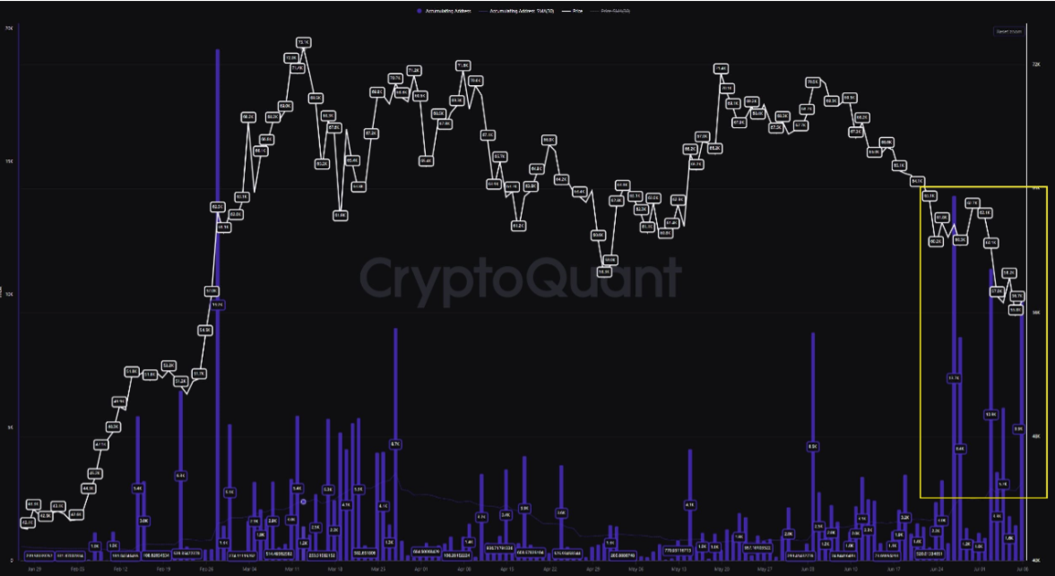 Biểu đồ tích lũy Bitcoin