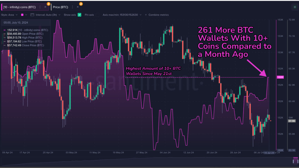 Gráfico de tenencias de Bitcoin de más de 10 BTC