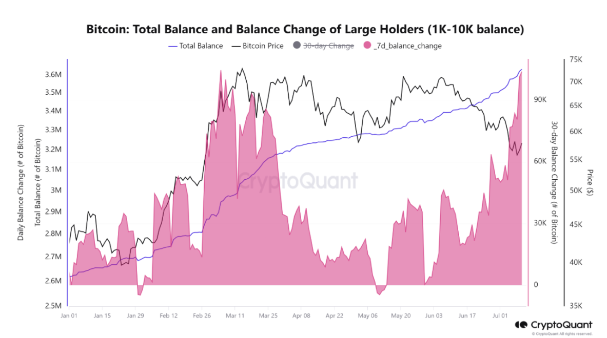 Bitcoin Total Balance and change of large holders chart