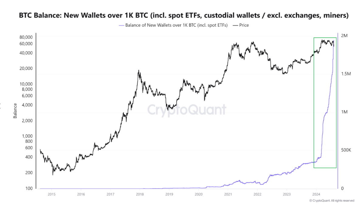 Bitcoin Balance chart