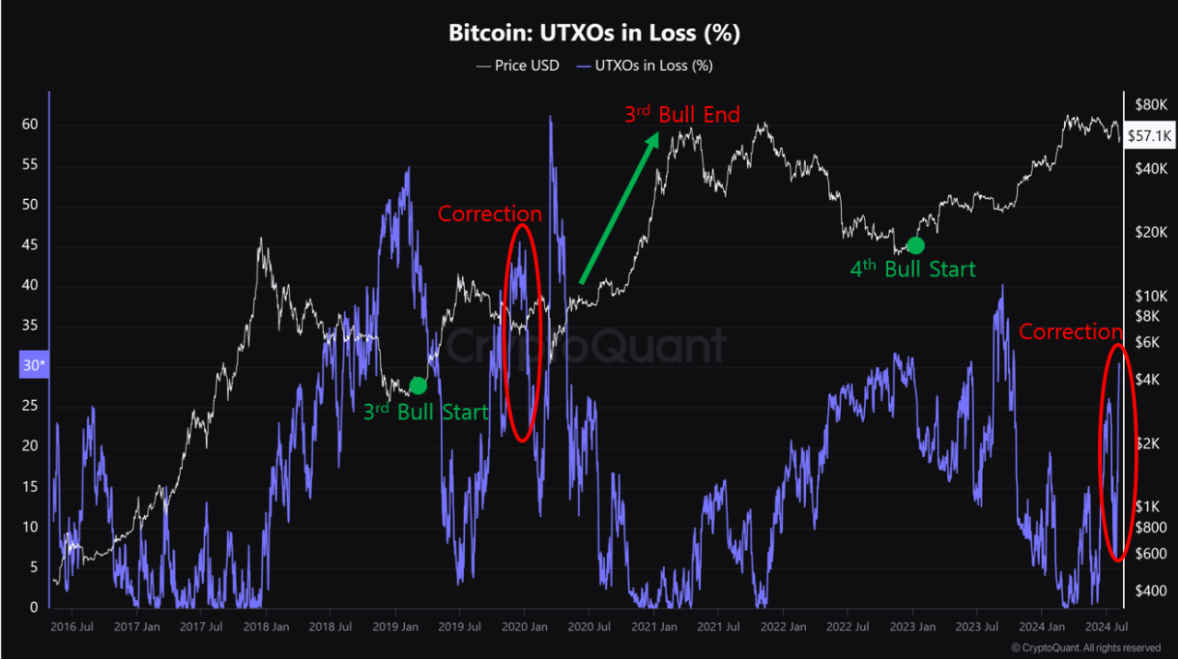 Bitcoin UTXO’s in Loss(%) chart