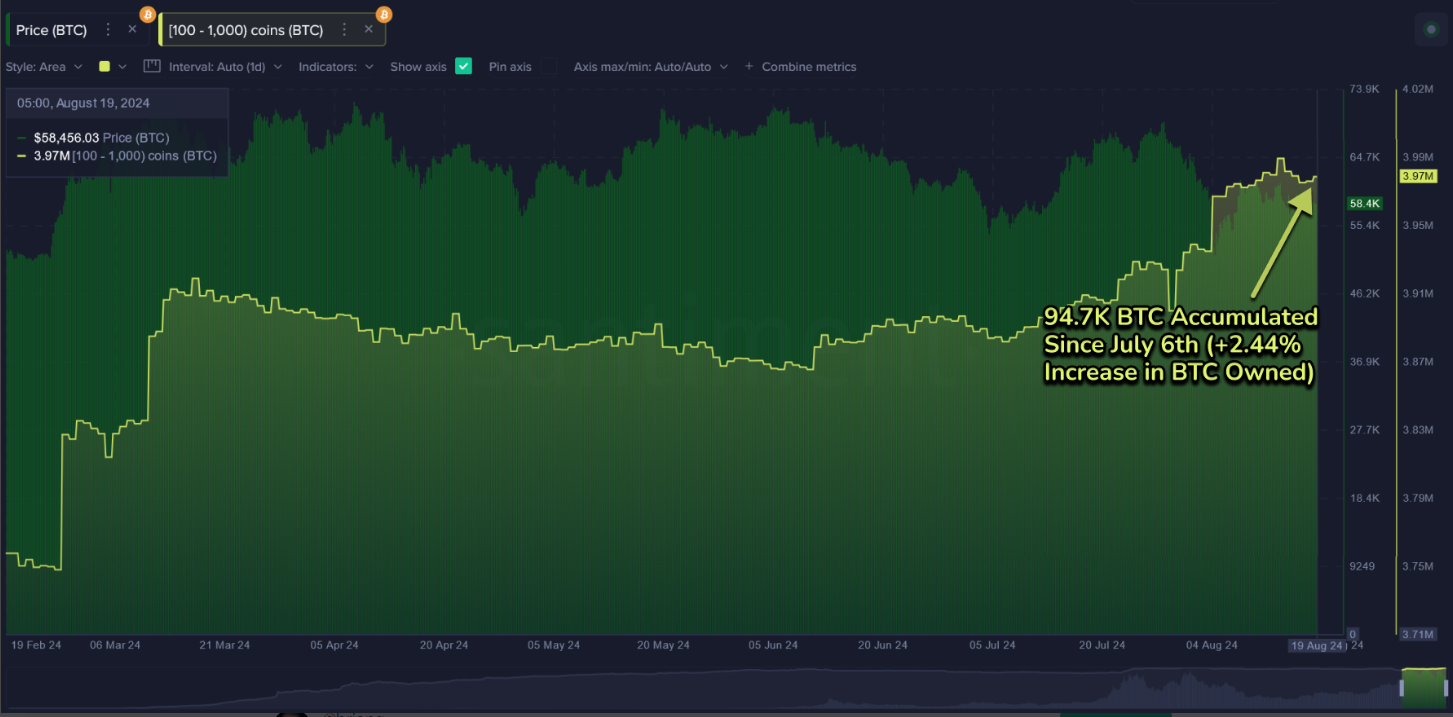 Chart of 100 to 1000 Bitcoin holdings