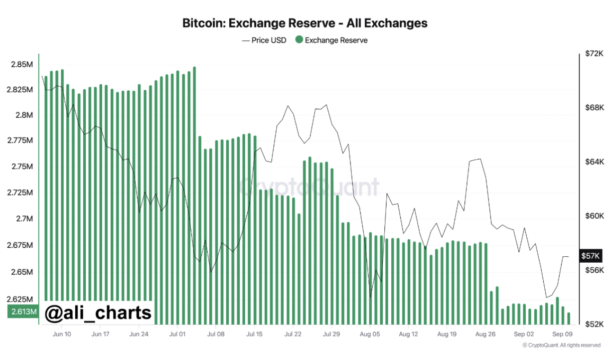 "Analisi del Mercato delle Criptovalute: Bitcoin e Ethereum sotto la Lente, Novità su XRP e Dogwifhat"