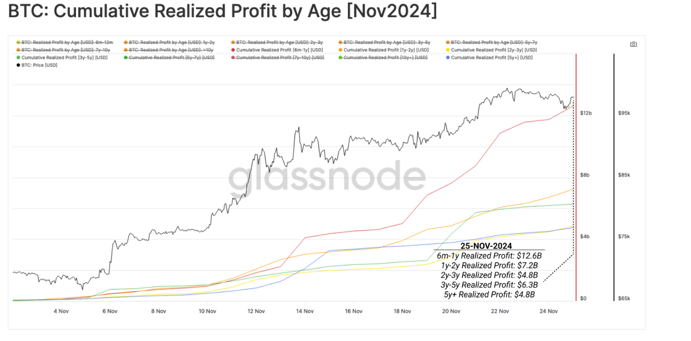 Biểu đồ Lợi nhuận BTC theo độ tuổi (tháng 11 năm 2024). Nguồn Glassnode