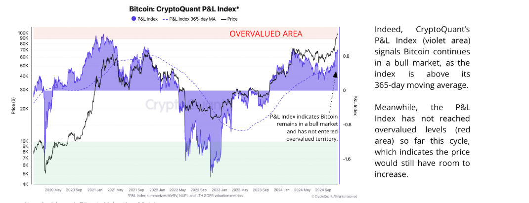 Bitcoin P&L Index chart. Source: CryptoQuant