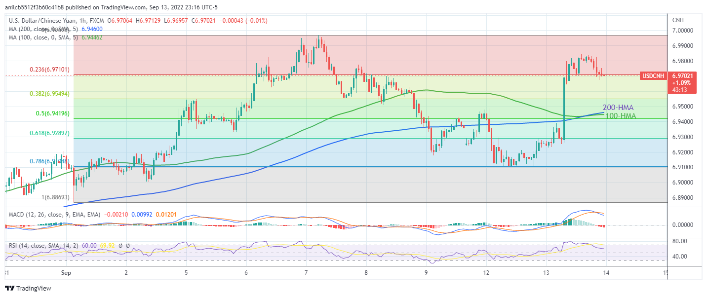 Usd cnh