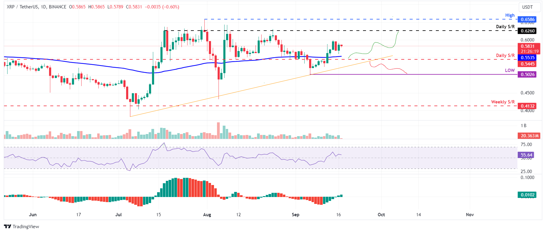 "Analisi delle Criptovalute: Tendenze e Prospettive per Bitcoin, Ethereum e Ripple"