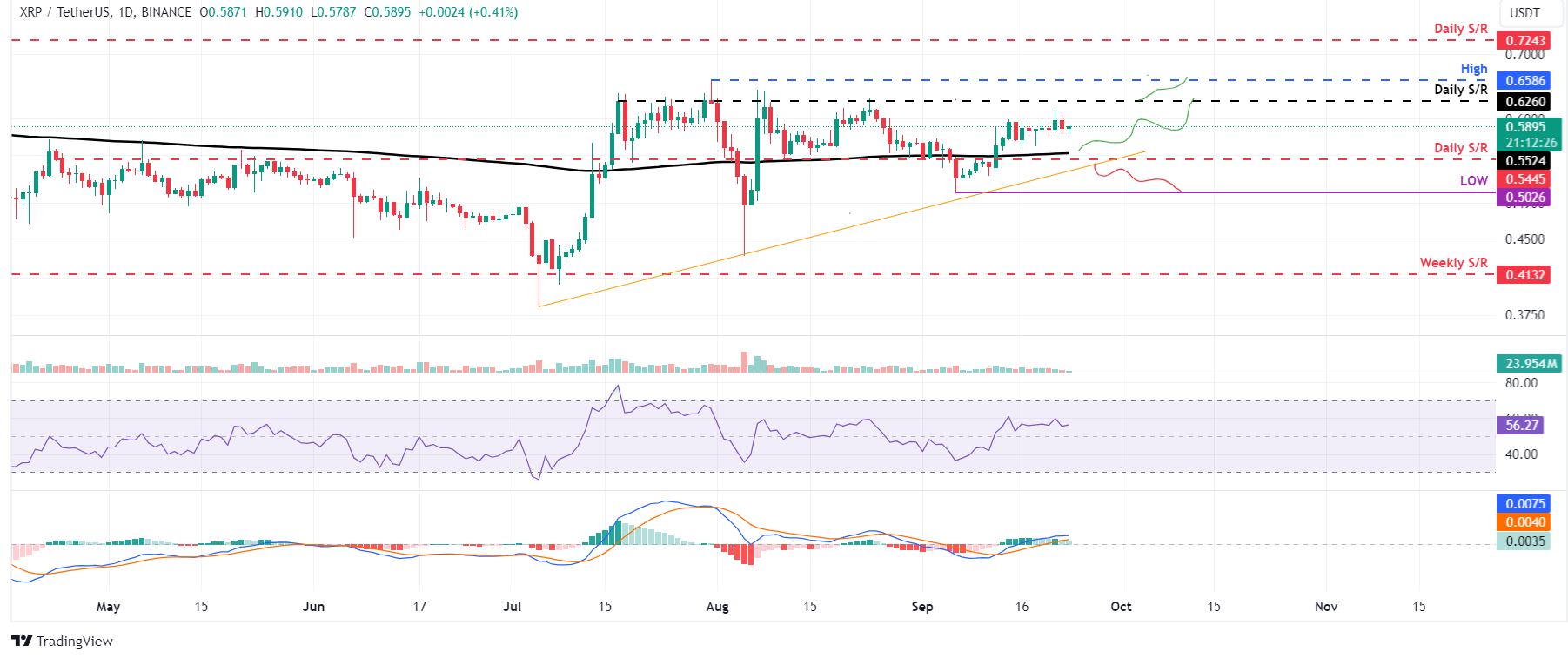 **"Criptovalute in Ripresa: Analisi di Bitcoin, Ethereum e Ripple"**