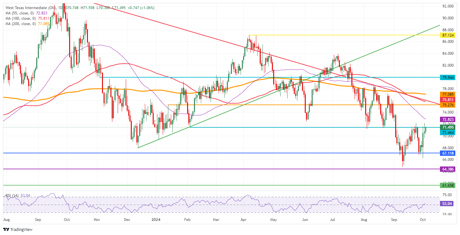 Petróleo Crudo WTI de EE.UU.: Gráfico Diario