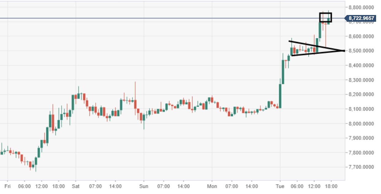 Can I Trade Xrp On Webull / 5 Platforms To Buy Ripple On Cheaply And Safely : Can you buy xrp on webull?